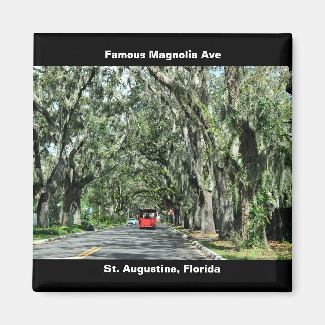 Berömd Magnolia Avenue Magnet (Framsidan)