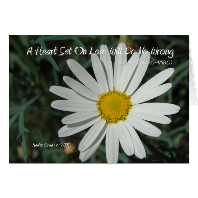 Berömd Ord: Kärlek - Vit Daisy Card-serie (4) Hälsningskort (Framsidan Horizontal)