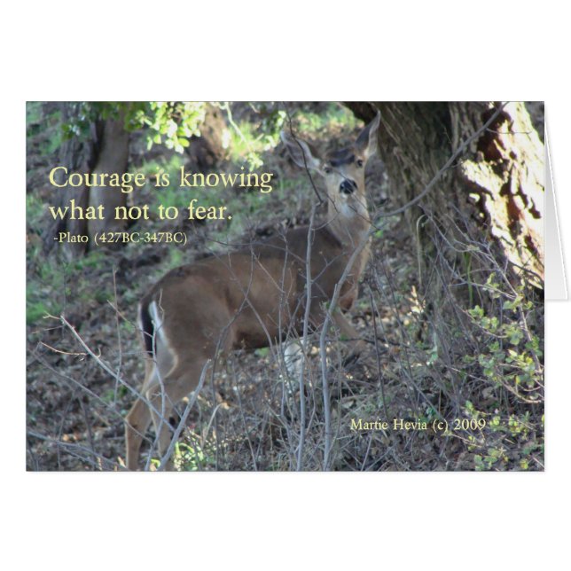 Berömd Ord: Modet - Hjort hälsningskort (Framsidan Horizontal)