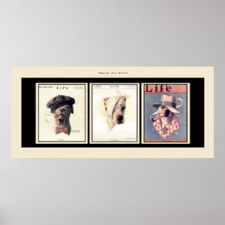 Berömd Pit Bulls Poster