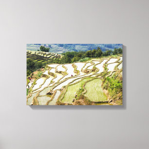 Berömd yuanyang Ris Terraces - Yunnan, China Canvastryck