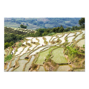 Berömd yuanyang Ris Terraces - Yunnan, China Fototryck