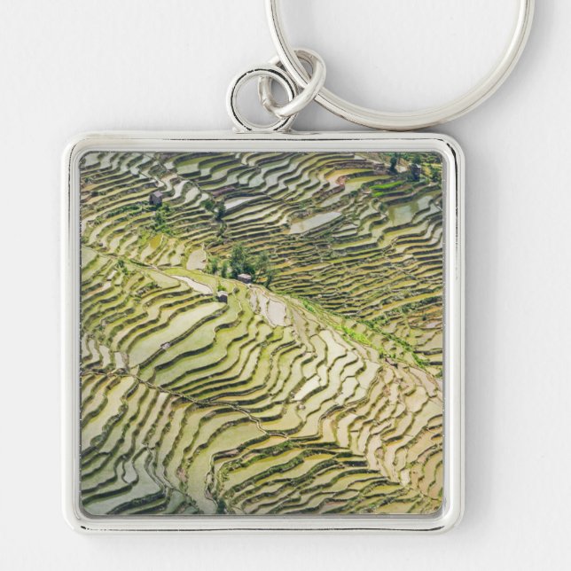Berömd yuanyang Ris Terraces - Yunnan, China Fyrkantig Silverfärgad Nyckelring (Framsidan)