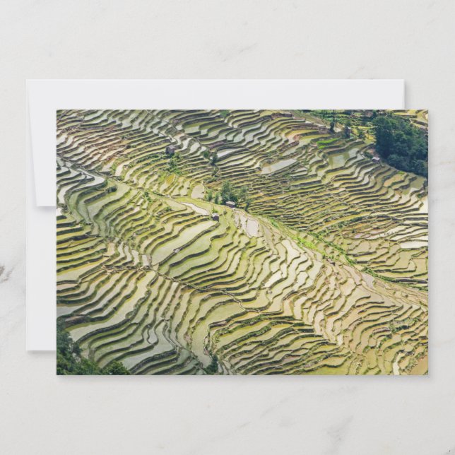 Berömd yuanyang Ris Terraces - Yunnan, China Inbjudningar (Framsida)