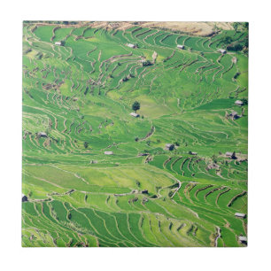 Berömd yuanyang Ris Terraces - Yunnan, China Kakelplatta