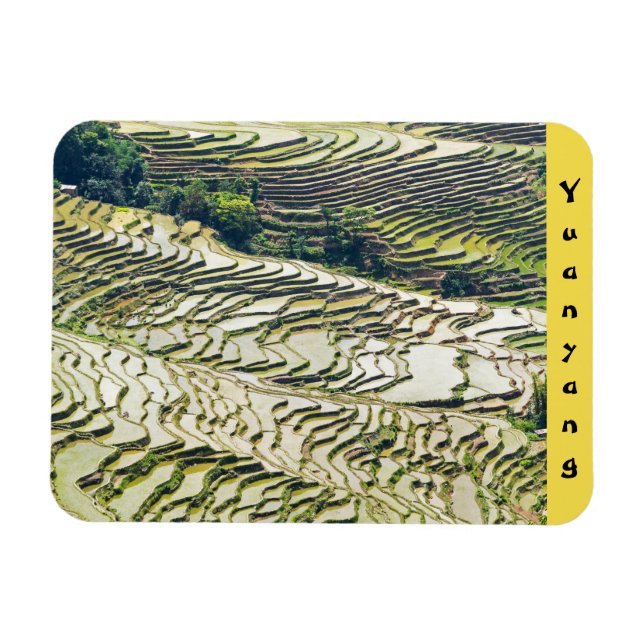 Berömd yuanyang Ris Terraces - Yunnan, China Magnet (Horisontell)