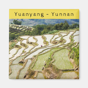 Berömd yuanyang Ris Terraces - Yunnan, China Magnet