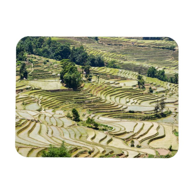 Berömd yuanyang Ris Terraces - Yunnan, China Magnet (Horisontell)