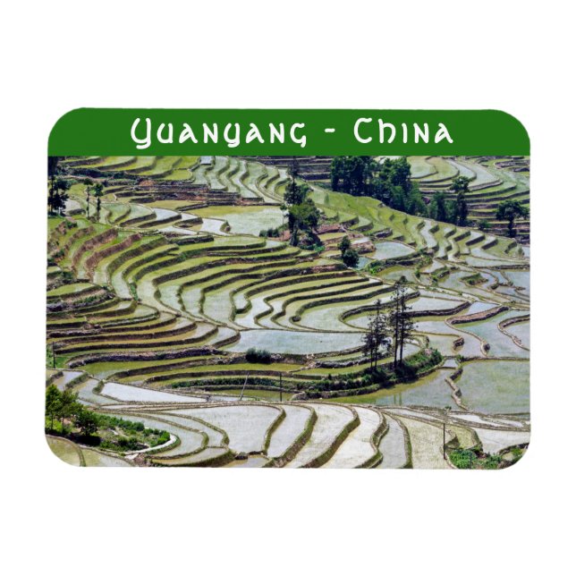 Berömd yuanyang Ris Terraces - Yunnan, China Magnet (Horisontell)