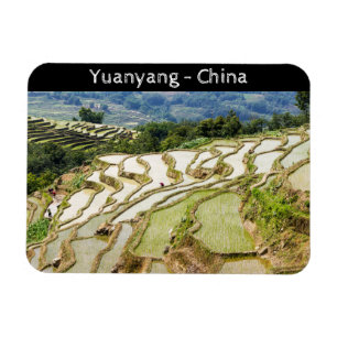 Berömd yuanyang Ris Terraces - Yunnan, China Magnet