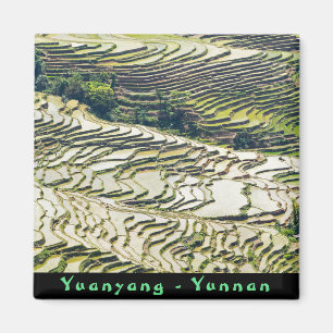 Berömd yuanyang Ris Terraces - Yunnan, China Magnet