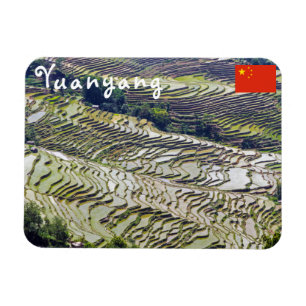 Berömd yuanyang Ris Terraces - Yunnan, China Magnet