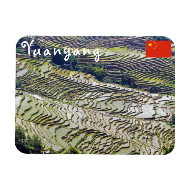 Berömd yuanyang Ris Terraces - Yunnan, China Magnet (Horisontell)