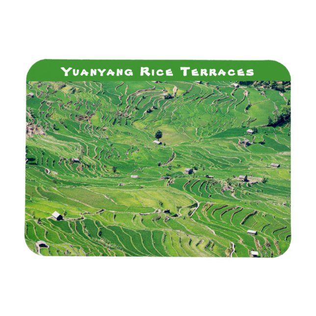 Berömd yuanyang Ris Terraces - Yunnan, China Magnet (Horisontell)