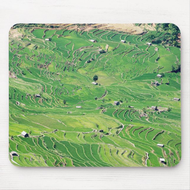 Berömd yuanyang Ris Terraces - Yunnan, China Musmatta (Framsidan)
