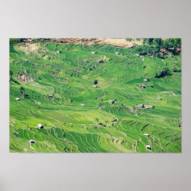 Berömd yuanyang Ris Terraces - Yunnan, China Poster (Framsidan)