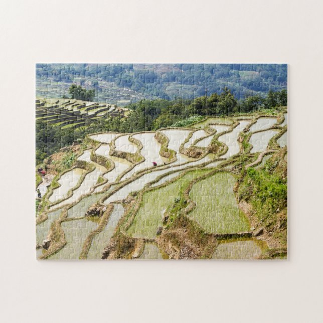 Berömd yuanyang Ris Terraces - Yunnan, China Pussel (Horisontell)