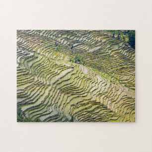 Berömd yuanyang Ris Terraces - Yunnan, China Pussel