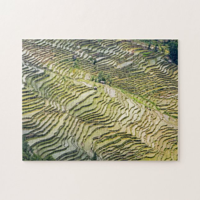 Berömd yuanyang Ris Terraces - Yunnan, China Pussel (Horisontell)