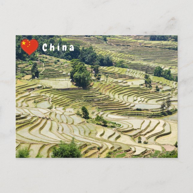 Berömd yuanyang Ris Terraces - Yunnan, China Vykort (Framsida)