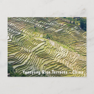 Berömd yuanyang Ris Terraces - Yunnan, China Vykort
