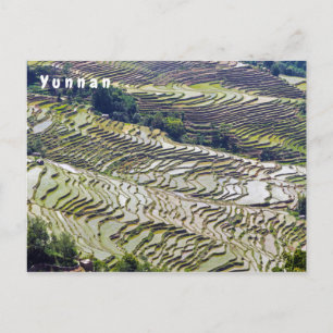 Berömd yuanyang Ris Terraces - Yunnan, China Vykort