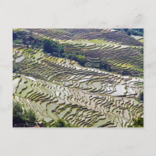 Berömd yuanyang Ris Terraces - Yunnan, China Vykort
