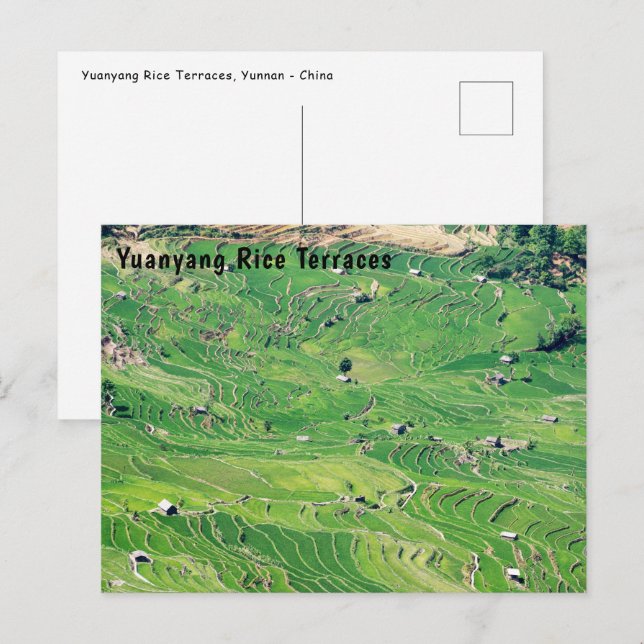 Berömd yuanyang Ris Terraces - Yunnan, China Vykort (Fram/baksida)