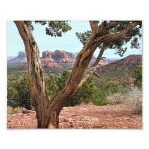 Berömda Sedona Fototryck