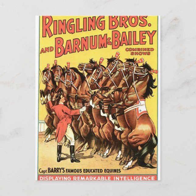 Berömden har utbildat Equines Retro Theate Vykort (Framsida)