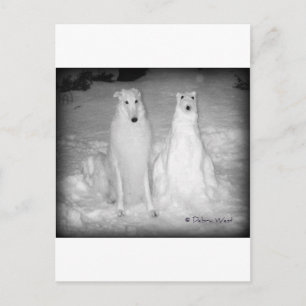 Berömden Mychtar och Snowdog! : Vykort
