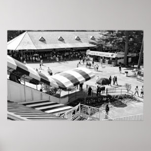 Berömden Röda och vita varningar i Saratoga Tävlin Poster