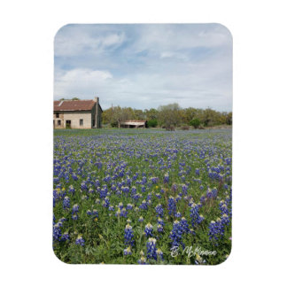 Berömden Texas House Magnet
