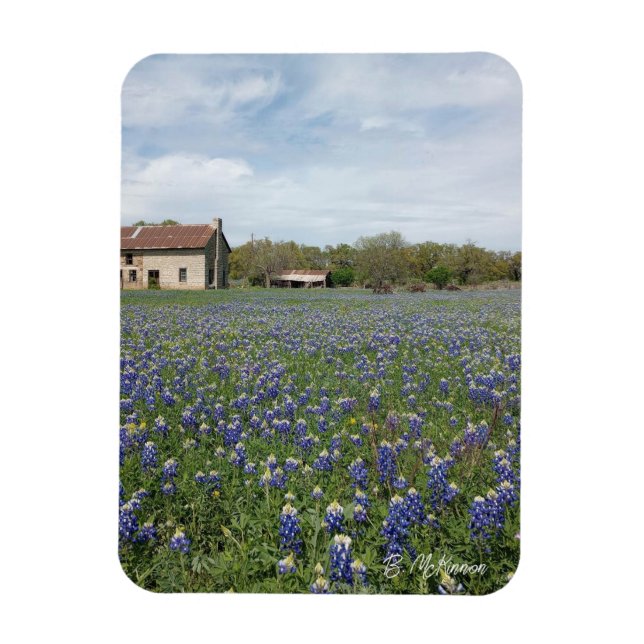 Berömden Texas House Magnet (Vertikal)