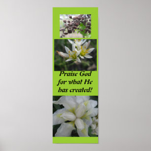 Berömgud för vad han har skapat! poster