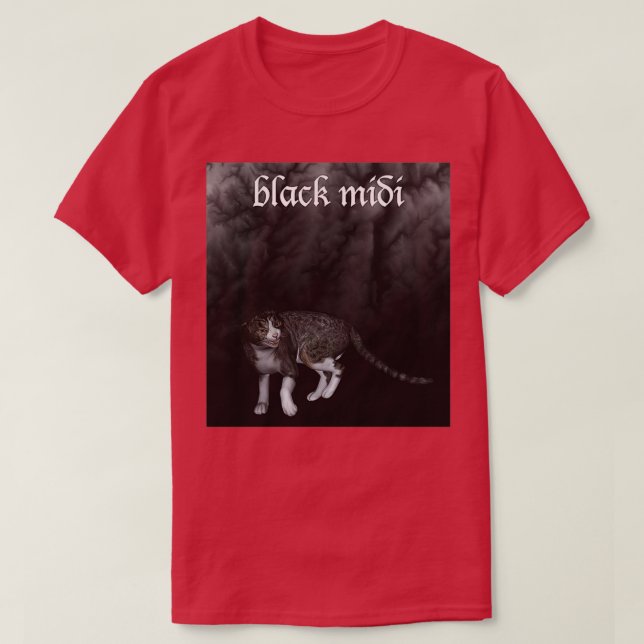 berömma t shirt (Design framsida)