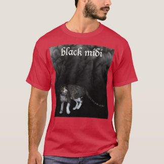 berömma t shirt