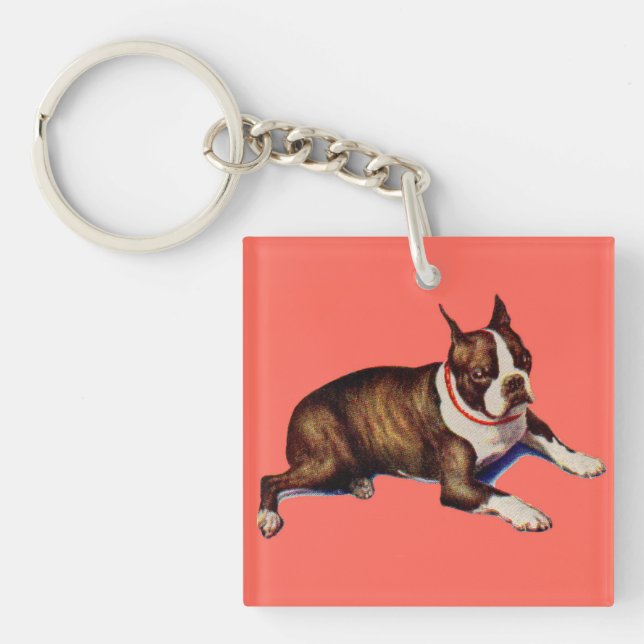 berömvärd Boston skräcker (Framsidan)
