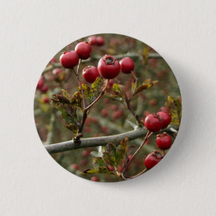Berries Button Knapp