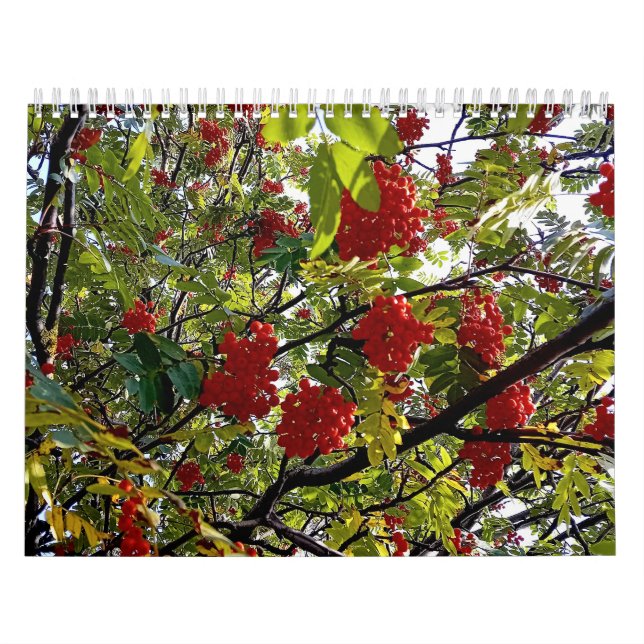 Berries Kalender (Omslag)