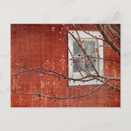 Berries och Barn Vykort