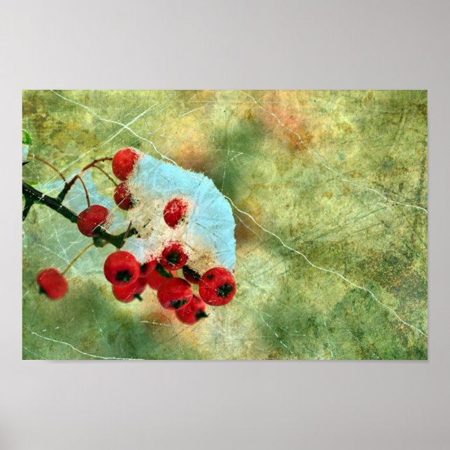 Berries Poster (Framsidan)