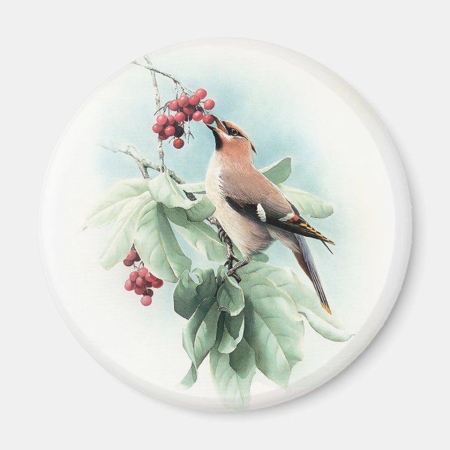 Berries to Eat Magnet (Framsidan)