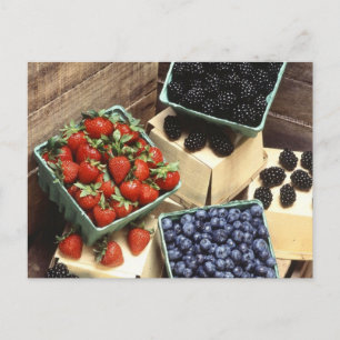 Berries Vykort