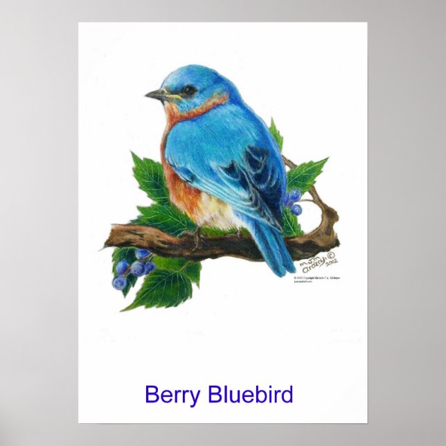 Berry Bluebird Poster (Framsidan)