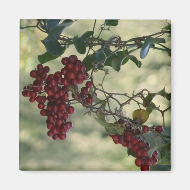 Berry Magnet (Framsidan)