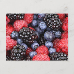 Berry Salad Vykort