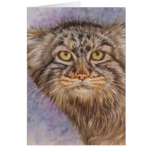 Berrys Pallas Cat Hälsningskort (Framsidan)