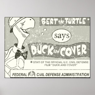 Bert sköldpaddanågot att säga poster