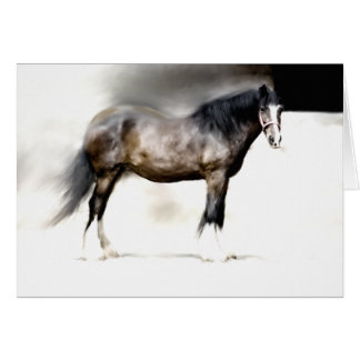 BERTHA Biggest SHIRE HORSE Hälsningskort